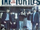 THE TURTLES 