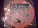Slayer - Hell awaits Lim. Pic. Disc