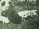 Pink Floyd - 