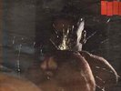 RARE PUNK lp BLACK FLAG 1981 DAMAGED w/Sticker KBD SST