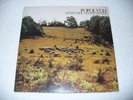 POPOL VUH 