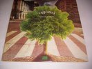 LP ITALIAN PROG AGORA' - LIVE IN MONTREAUX