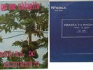 AFRO BEAT FOLK - FERREIRA DO NASCIMENTO  ANGOLA N'GOLA