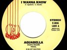 Latin Soul Funk * AGUABELLA * I wanna Know * HEAR MP3