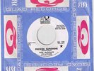 RICK McCLELLAN Frozen Sunshine DJ pro on Quad PSYCH NM-
