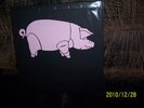Pink Floyd 2 LP Live In Zurich