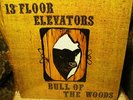 SEALED 13TH FLOOR ELEVATORS Bull Of The Woods '68 PSYCH