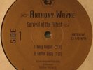 ANTHONY WAYNE Survival Of The Fittest RANDOM RAP 12