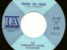 13th Floor Elevators 45-Tried 2Hide-NM-60s-IA107-Lt Blu