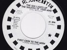 FIRST CROW TO THE MOON 45 Garage Psych killer M- ORIG