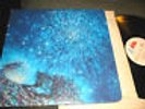 LOVE OUT HERE BLUE THUMB US 1969 ORIGINAL 2 LP SET rare arthur lee psych