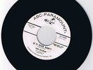 THE KITTENS Is It Over Baby? ABC-Paramount pro NM-