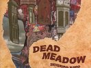 Dead Meadow - Shivering Kings and Others LP MINT