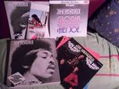 Jimi Hendrix  Sammel Box   12 LP + Maxi + Booklet Top