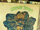 1967 ULTIMATE SPINACH 1st    Swirl Acid Garage Psych ?