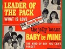 SHANGRI-LAS Leader of the Pack 7