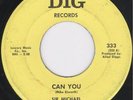 JANGLY FOLK PUNKER   Sir Michael & The Sounds   DIG 