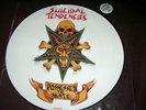 SUICIDAL TENDENCIES Possessed to Skate PICTURE DISC LP