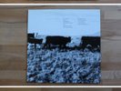 MARK KOZELEK Finally LP sun kil moon red house painters