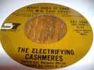 HEAR Soul 45 THE ELECTRIFYING CASHMERES What Does It T