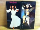 Kate Bush Live in Bristol rare 2 x Lps
