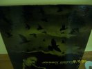 Blue Note Johnny Griffin 1559 DG NY 23 ,Ear,RVG,VG++