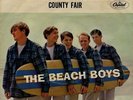 BEACH BOYS-TEN LITTLE INDIANS-RARE US PICTURE SLEEVE+45