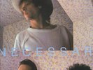 THE NECESSARIES -- BIG SKY, original NY avant-power-pop