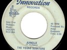 YOUNG SENATORS D.C. soul funk 45 “Jungle” HEAR