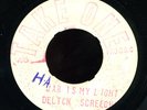 Delton Screechie - Jah Is My Light UK orig45 ??