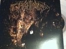 Wolves in the Throne Room-Two Hunters bathory slayer