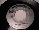 THE MASQUERADERS ON BELL 874 HOW BIG IS BIG -LISTEN