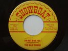 1966 Garage 45 WILD THINGS I’m Not For You  LISTEN