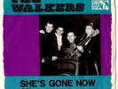 WALKERS- Swedish 1966 BEAT GARAGE- PS-  Listen