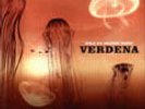 VERDENA 