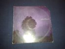 AFTERHOURS-DURING CRHISTINE'S SLEEP-LP VOX POP 1990