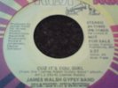 RARE NORTHERN SOUL / MODERN - JAMES WALSH GYPSY BAND
