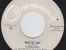 FABULOUS DICK HYMAN What'd I Say UNKNOWN MOD MONSTER 45