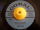 Teener Doo Wop 45 ANDY ROSE Crazy For You/This Nite