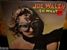 JOE WALSH FACTORY SEALED LP SO WHAT 1974 USA RELEASE