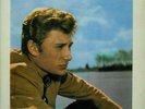 Johnny Hallyday 10' LP (French Philips) Rockabilly