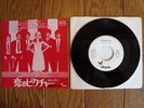 BLONDIE Picture This JAPAN PROMO 7