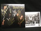 SIGNED Black Crowes Shake Your Money Maker LP OG + MORE
