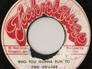 SHADES Who You Gonna Run To TECHNIQUES REGGAE SKA 7” ??