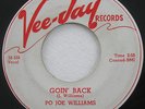 Big Joe Williams, 