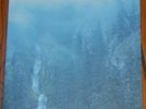 Wolves In The Throne Room Diadem 12 Stars LP Vinyl