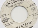 GARAGE/SURF 45 Cherokees Uprisin' Challenge WLP HEAR