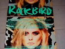 ANDY WARHOL 12” COVER ART DEBBIE HARRY GREEN VERSION