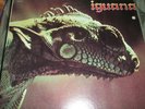 Iguana- same  prog   psych