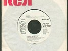 DAVID BOWIE - PANIC IN DETROIT - RARE 1974 CANADA WLP